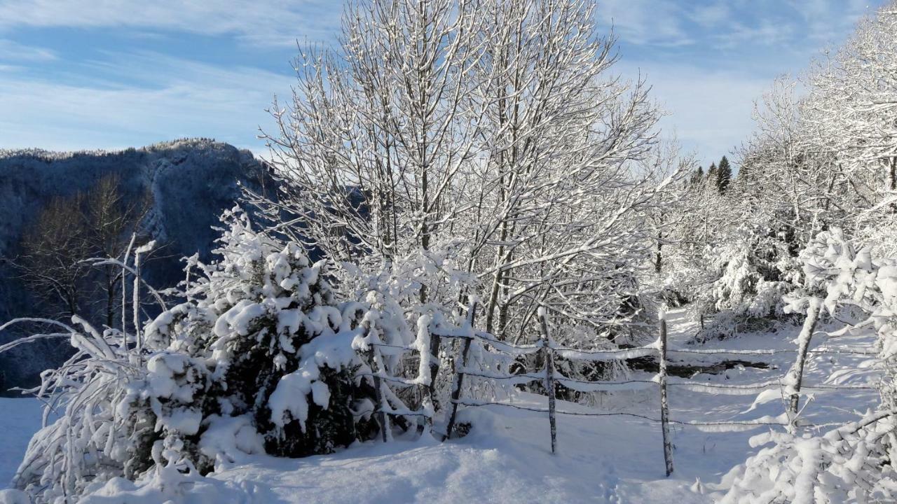 Bed and Breakfast Au Coeur du Lapidaire à Septmoncel-Les-Molunes Extérieur photo